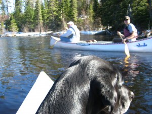 Paddling on Cross River