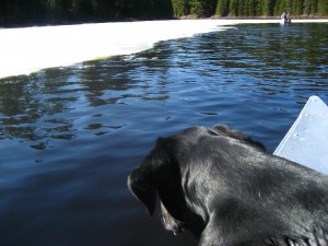 Skirting the edges of the ice