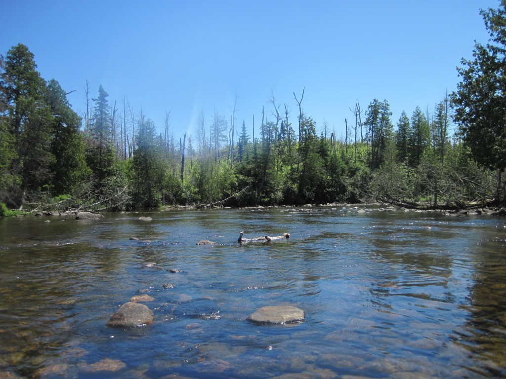 Boundary Waters Gunflint Trail Canoe Trip