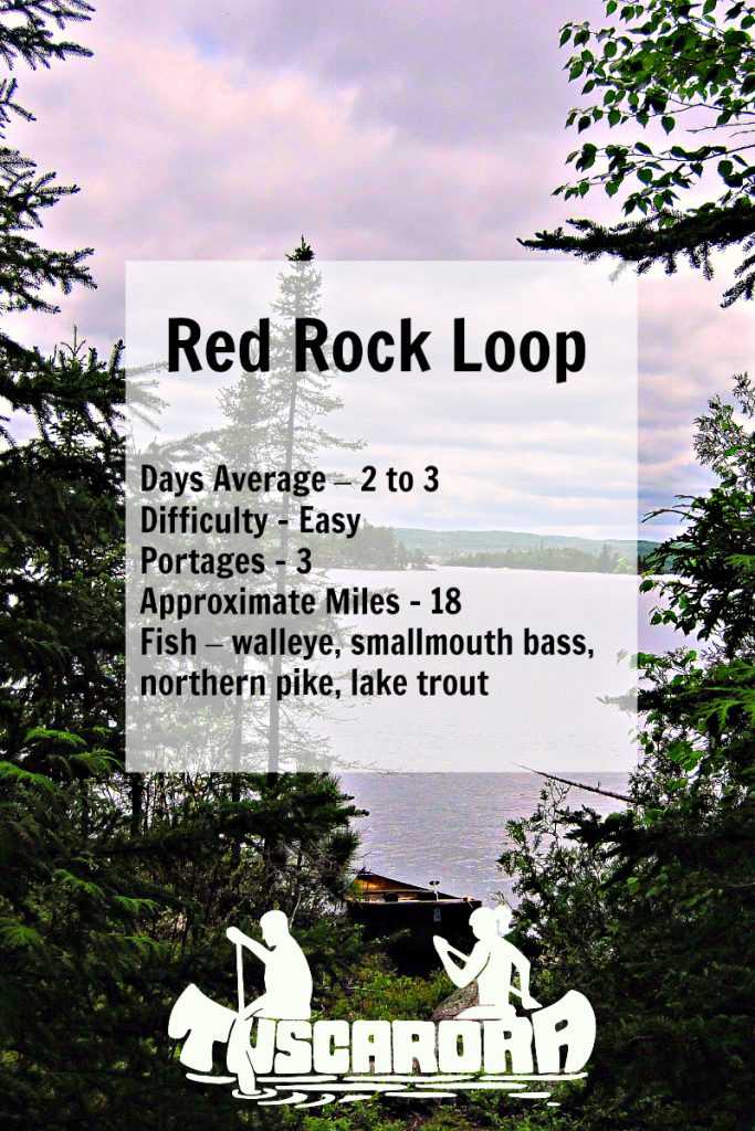 Red Rock Loop Pin