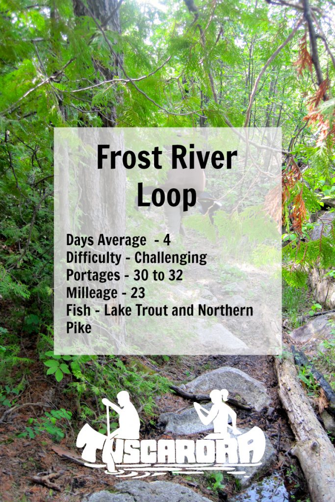 FrostRiverLoop Pin