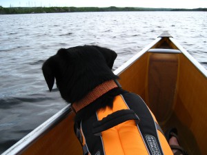 Lucy says "Safety first!  Wear your life jackets."