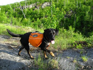 Lucy with her backpack