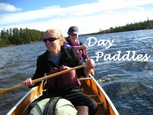 Day Paddles