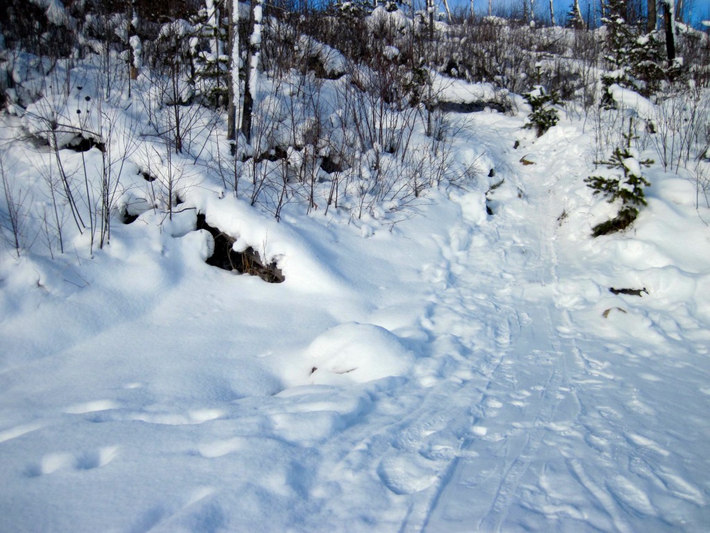 Portage from Brant into Gotter Lakes 