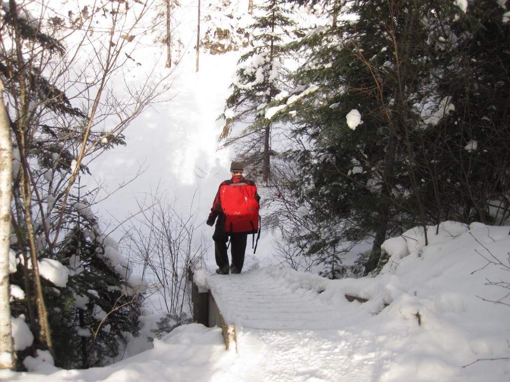 Gotter Portage Stairs 