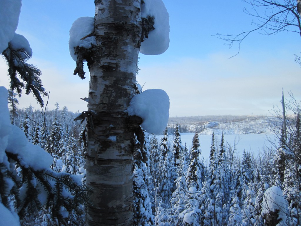 January Round Lake Gunflint Trail Boundary Waters winter trip