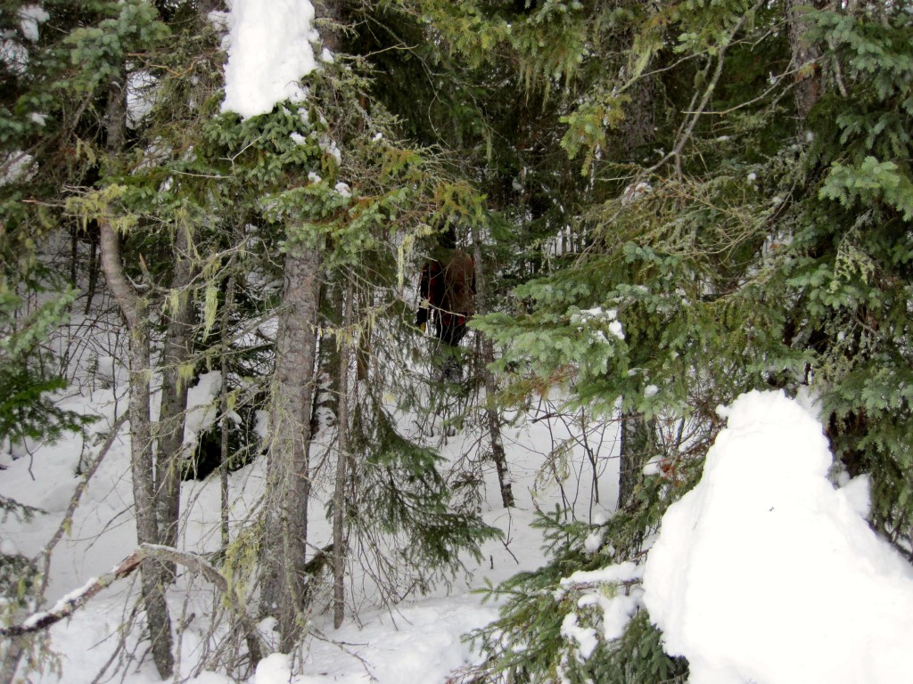 Boundary Waters winter adventure Gunflint Trail 