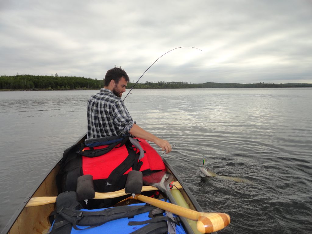 Quetico fishing for Northern Pike 