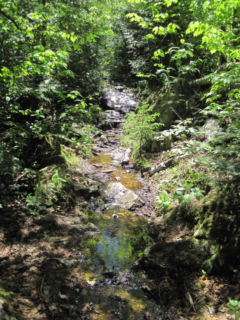 Granite River portage, high water in June 