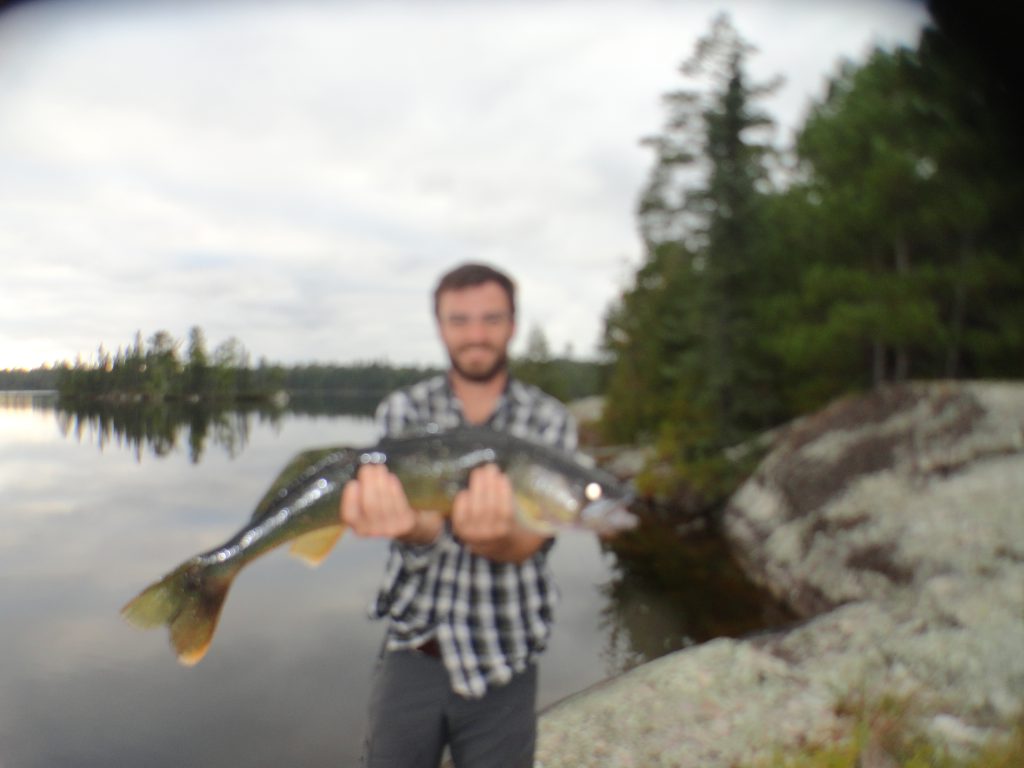 Quetico Provincial Park blue walleye catch 