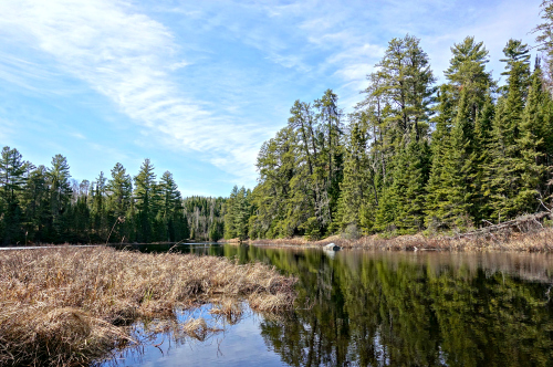 Cross Bay Entry Point BWCAW April