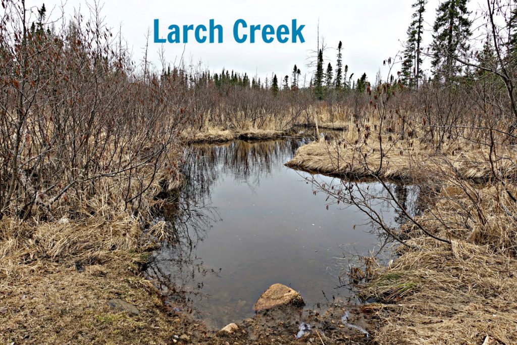 Larch Creek April 15 2017