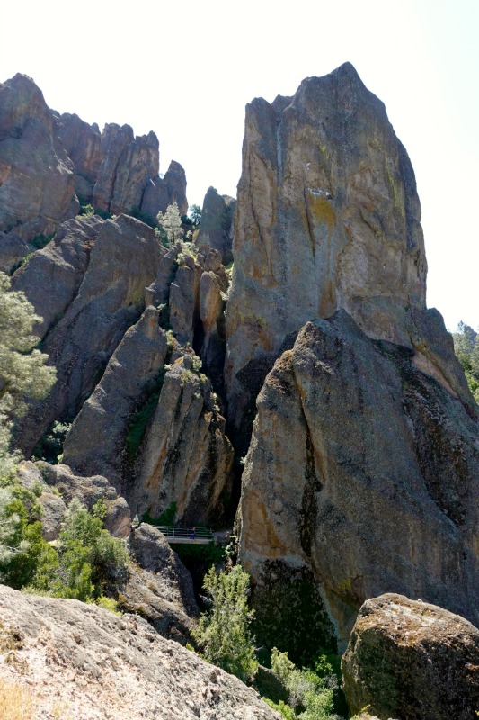 Pinnacles NP