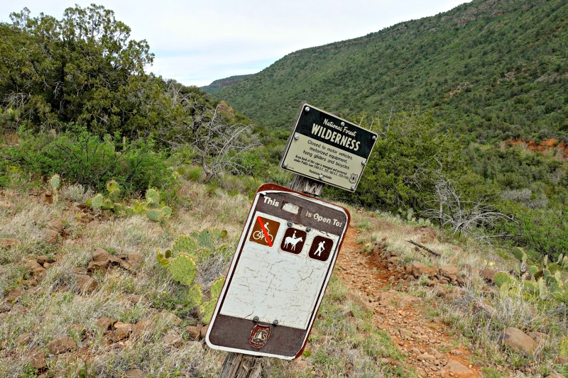 Sedona Wilderness