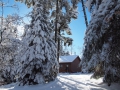 Tuscarora Lodge Gunflint Trail Housekeeping Cabins Year-round