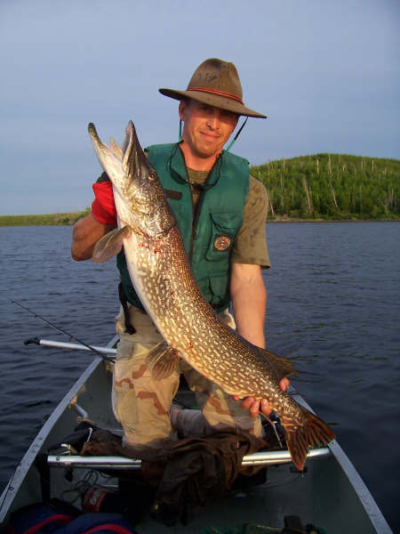 Northern Pike - Tuscarora Lodge & Canoe Outfitters